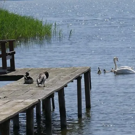 Hausboot In Am Bodden * Kröslin